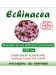 Echinacea